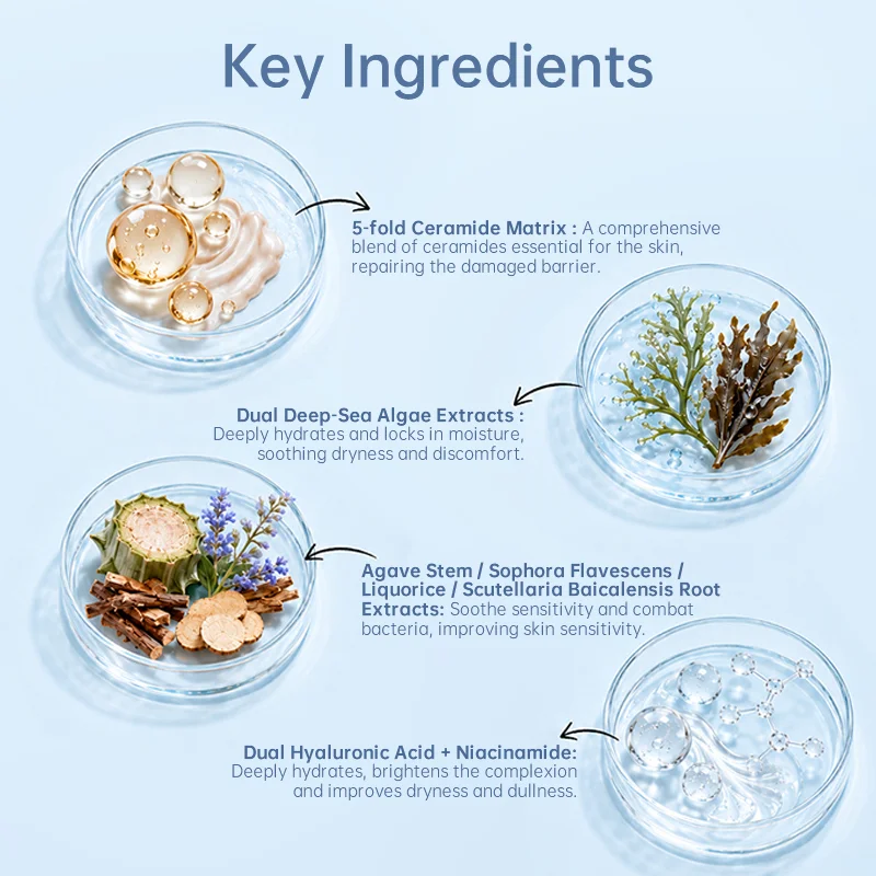 A graphic showing four skincare ingredients with descriptions: ceramide matrix, deep-sea algae extracts, botanical root blend, and hyaluronic acid with niacinamide.